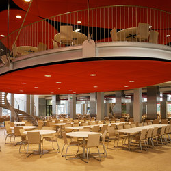 Acoustic ceiling systems | Ceiling